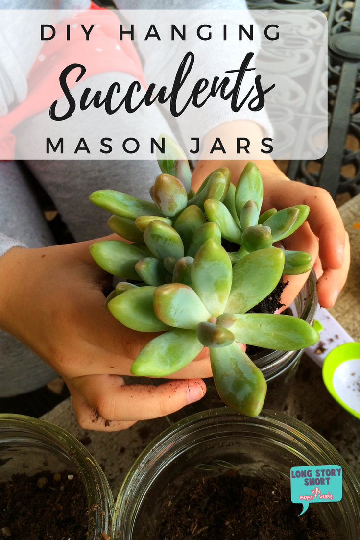 DIY at Home: Succulents in Mason Jars - Long Story Short